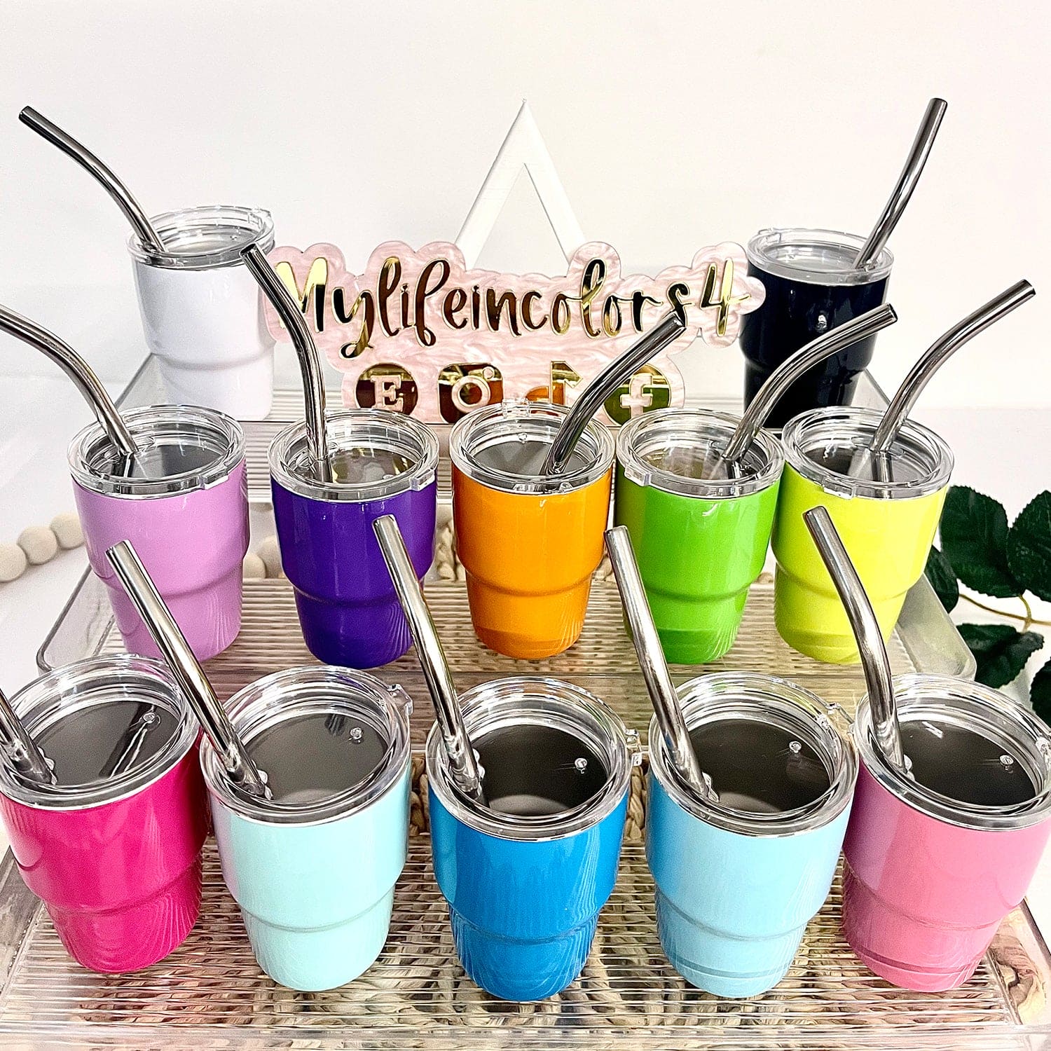 2 oz Stainless Steel Sublimation Mini Tumbler W/Lid & Straw