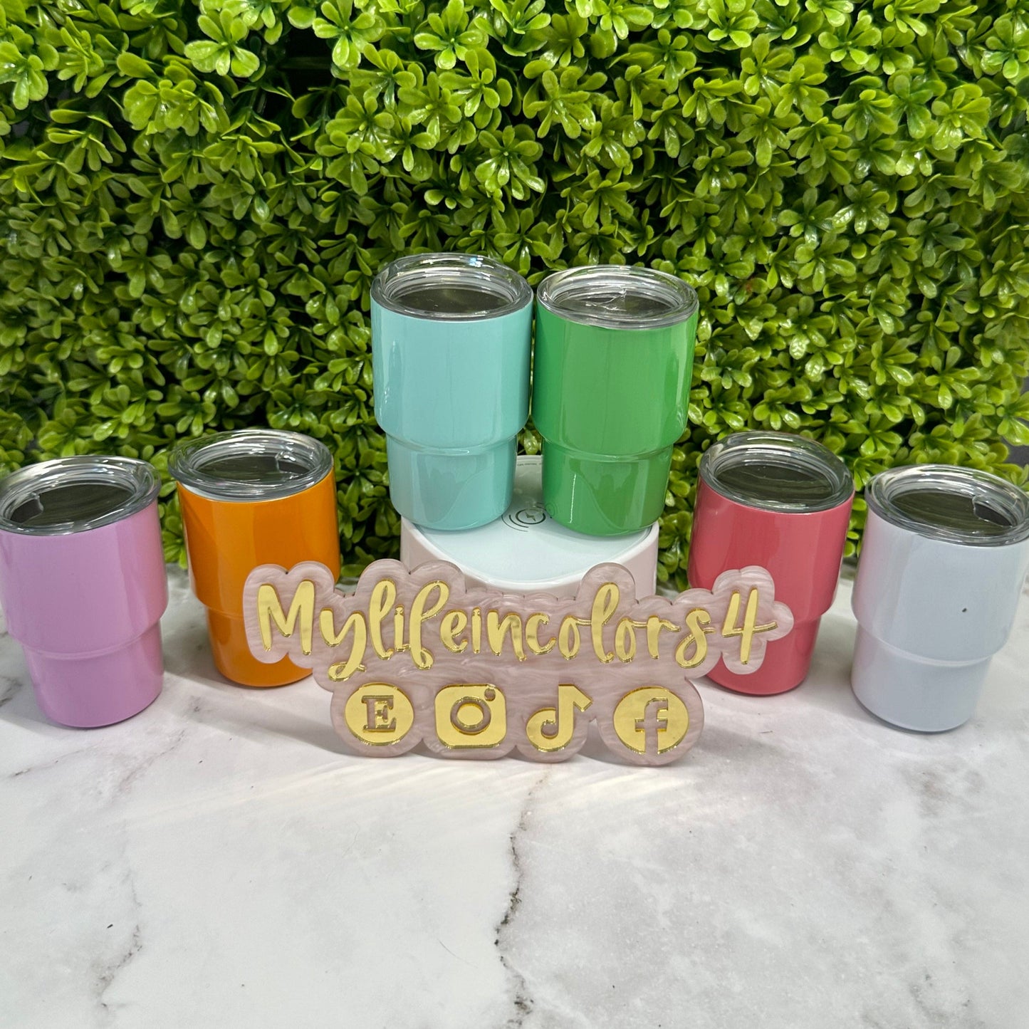 Mini Tumbler Shot Glass 2 to 3oz sublimation tumblers stainless steel with lid and straw. please read description.